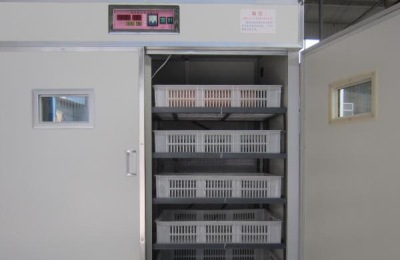 全自动孵化机使用方法?多少钱一台?