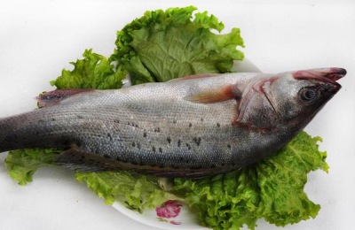 哪些养殖项目最赚钱？这三个适合农村创业