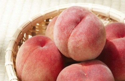 桃子价格多少钱一斤