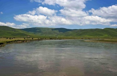 短期土地种什么最赚钱