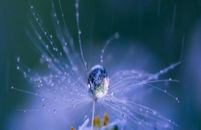 寒露是什么意思