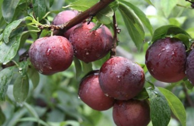 夏天最赚钱的地摊生意是什么?这些商品很受欢迎