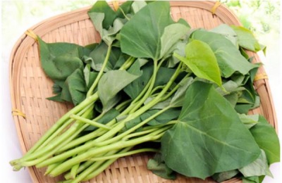 家庭小作坊加工哪些项目赚钱?这些项目投资少,收益高