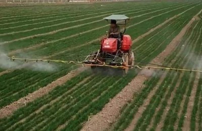 什么肥料适合小麦返青？每亩施多少