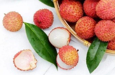 小核荔枝有哪些品种