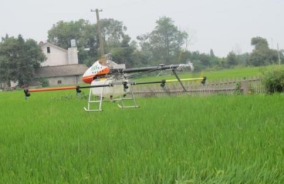 农村种什么最赚钱？这六个项目前景广阔