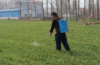 人欢马叫节节麦除草剂安全吗,什么时候打好