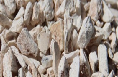 龙骨别名叫什么