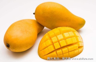 芒果今天的价格是多少？芒果种植前景分析