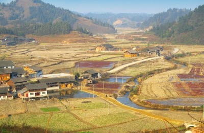 尖吻鲈原产地在哪里?什么是养殖优势