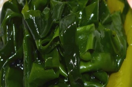 海白菜和海带区别,干海带和湿海带哪个好