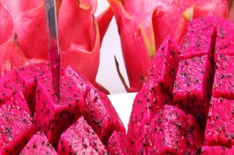 火龙果籽怎么种才结果，种火龙果要什么条件