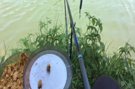 搓饵怎么挂钩不会掉，想要搓饵挂钩不易掉