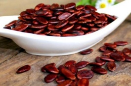 瓜子有哪些常见种类,瓜子的常见种类 1