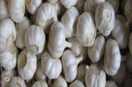 山东有哪些土特产，山东都有哪些土特产