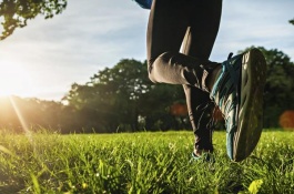 花粉有哪些常见类型