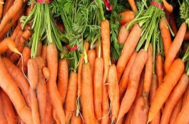 秋冬种植什么蔬菜，蔬菜播种时间介绍