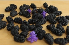 桑葚一斤多少钱，桑葚干的功效和作用