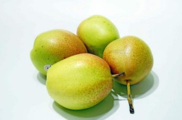 超早甜梨树有哪些新品种