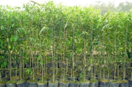 农村有哪些不起眼的暴利生意,藏在农村不起眼的暴利生意