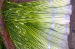 东北大棚种什么赚钱