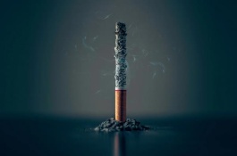 立冬如何养生,立冬有何禁忌