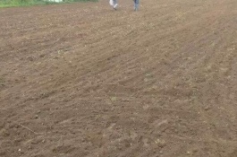 辽宁葫芦岛有哪些特产，虹螺岘干豆腐