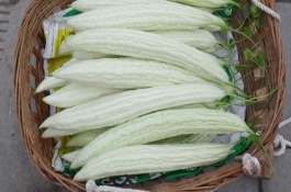 种植苦瓜要想高产，需要掌握哪些技术点，整地施肥做畦