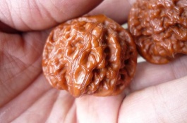 农村种植前景如何