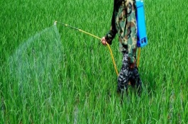 磷酸二氢钾可以和杀虫剂一起用吗，磷酸二氢钾的主要用途