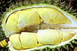 榴莲核可以种植吗,榴莲核的种植方法