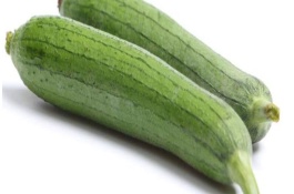 阳台种植丝瓜要点，提前准备原材料