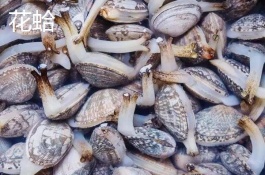 江苏盐城有哪些特产