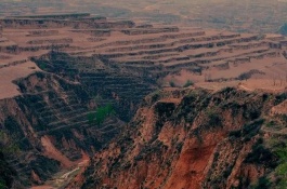 露地茄子株行距，露地茄子种植要点