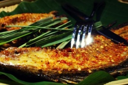 白鲫主要产地分布在哪里,白鲫产地分布白鲫也称“日本河内鲫”