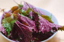 湖南宁乡有哪些土特产