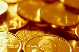 紫荆苗的价格是多少，花开无固定部位