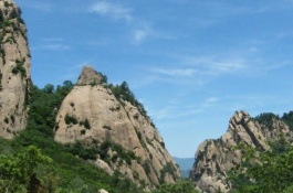 九纹龙锦鲤产地在哪里，九纹龙锦鲤的特征