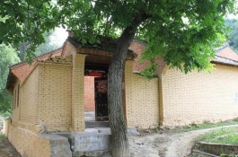 桑树苗的价格是多少，种植什么品种有前景