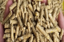 养殖户在选购饲料应注意哪些问题,新概念等于好产品