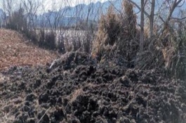 农家肥怎么自然发酵，农家肥正确使用方法