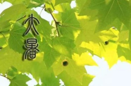 关于大暑节气的农谚和诗词有哪些