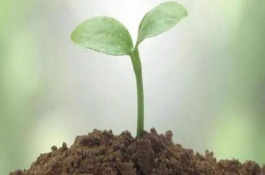 微生物肥料的长期使用可以修复土壤，微生物肥料简介