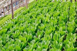 现在农村市场卖什么最赚钱,卖日常用品