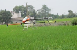 农村种什么最赚钱