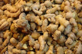 生姜的价格是多少,生姜种植成本利润如何