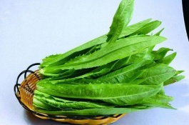 莴苣的种植技术和病虫害的防治是什么