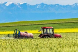 黑龙江双鸭山有什么土特产