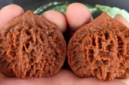 河北邯郸市有哪些特产，河北邯郸市有哪些特产