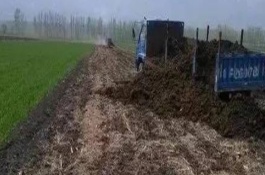 农家肥怎么发酵，农家肥和化肥混合使用的原则